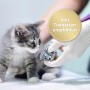 Felisept Katzenspray: Graue Katze wird von Tierarzt untersucht. Empfohlen von Tierärzten.