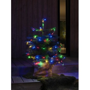 Kleine Tanne mit bunter Konstsmide LED Lichterkette (80 Dioden, Batteriebetrieb) für den Außenbereich.