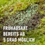 Compo Saat Rasen-Nachsaat auf Rasenfläche, geeignet für frühe Aussaat ab 5°C.