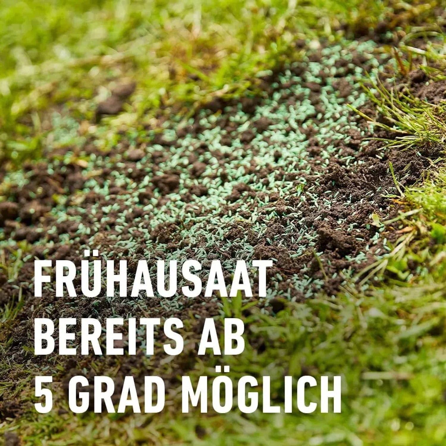 Compo Saat Rasen-Nachsaat auf Rasenfläche, geeignet für frühe Aussaat ab 5°C.