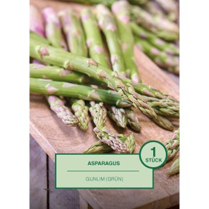 Frischer grüner Asparagus Gijnlim auf Holzbrett, ideal zum Pflanzen im Garten.