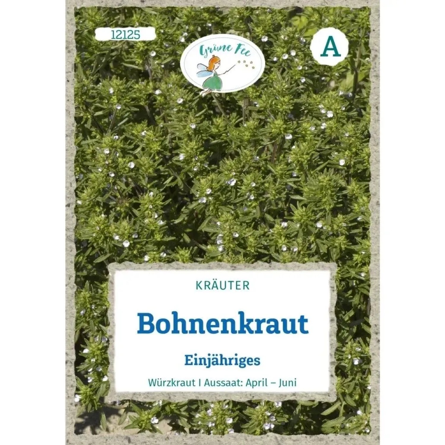 Grüne Fee Bohnenkraut Einjähriges Saatgut
