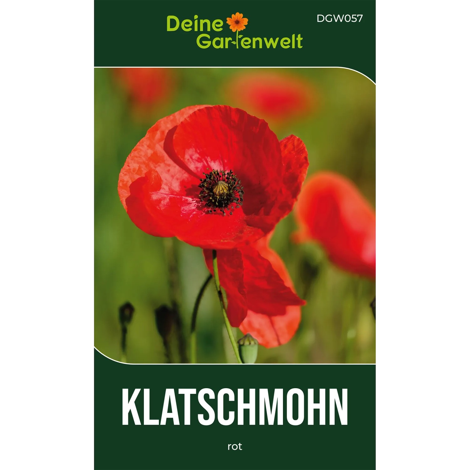 Deine Gartenwelt Klatsch-Mohn Rot Samen