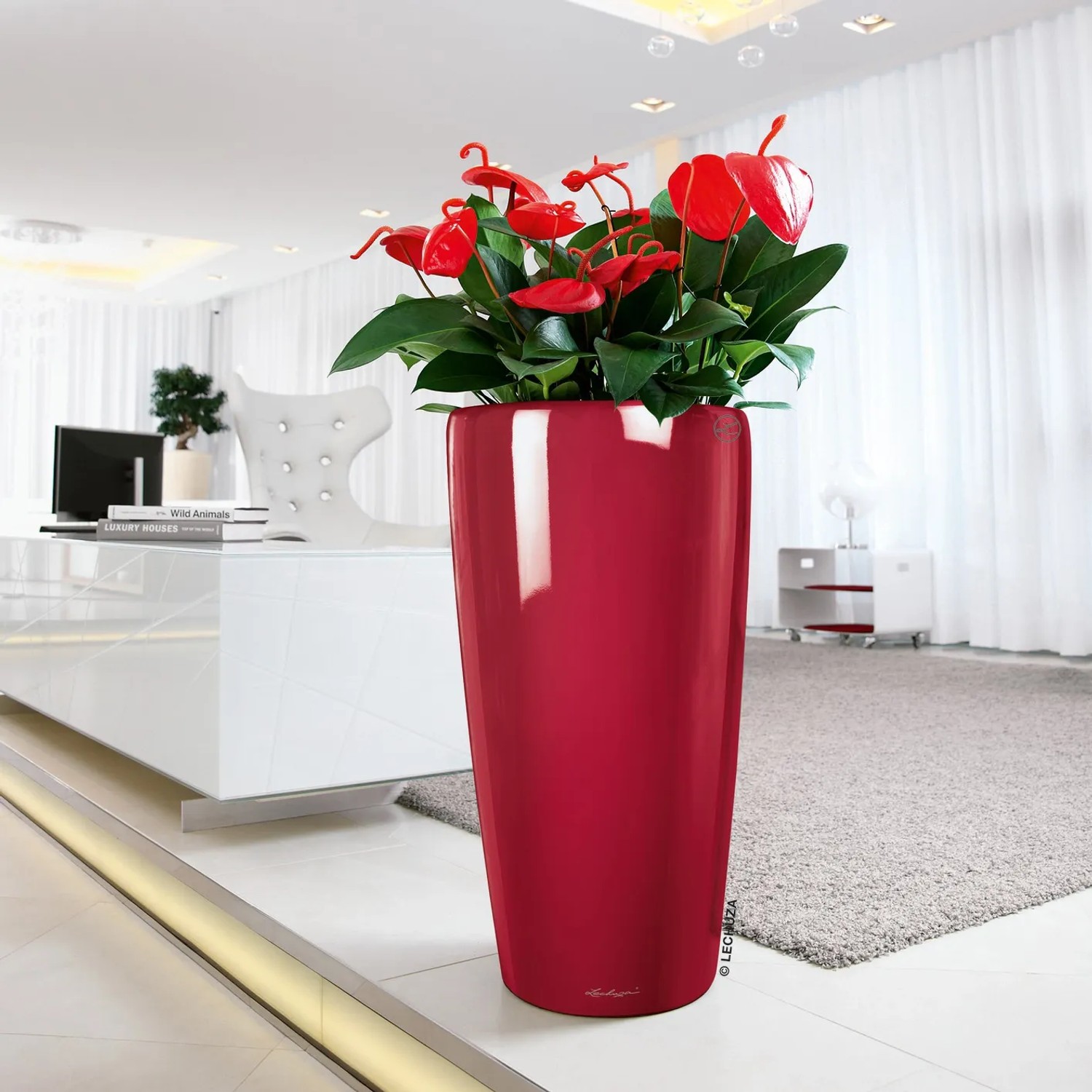 Hochglanz rote Lechuza Pflanzsäule Rondo Premium, 56cm hoch, mit roter Anthurie bepflanzt.