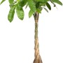 Elho Blumentopf B.For Soft Rund, Ø 13,8 cm, Weiß mit Geldbaum (Pachira) im Innenbereich.