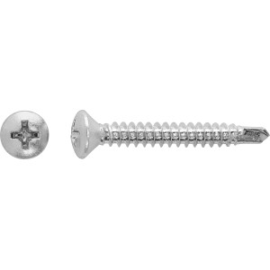 Linsenkopf Universalschraube, 4,2x22mm, PH-Antrieb, verzinkt, 20 Stück