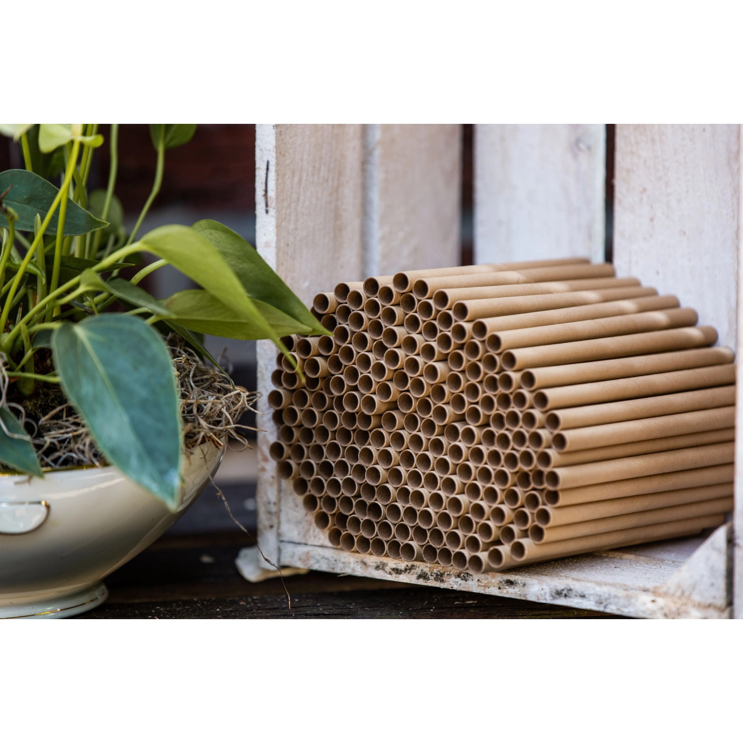 CULT at home Nisthülsen aus Karton, Ø 8 mm, für Insektenhotels. Bietet Wildbienen Nistplätze.