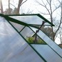 Detailaufnahme: Palram Canopia Hybrid Gewächshaus mit geöffnetem Fenster und Pflanzen.