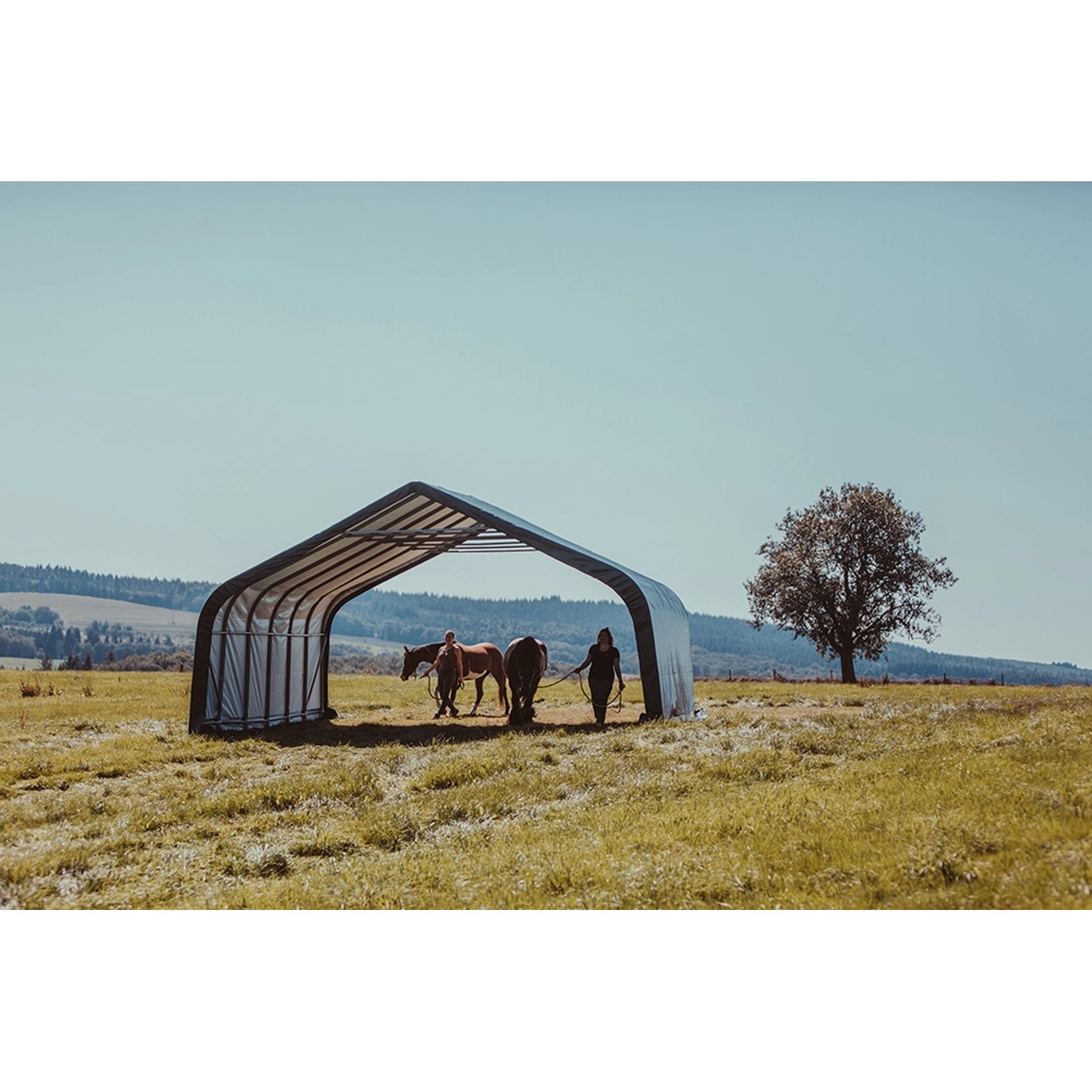 ShelterLogic Weidezelt mit zwei Pferden und Personen im Grünen. Ordnungssystem für den Garten.