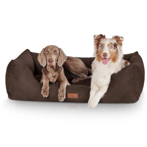 Knuffelwuff Hundebett Dreamline Velours XXL, 2 Hunde liegen entspannt im braunen Hundekörbchen.
