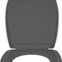 WC-Sitz Cerro Anthrazit mit Absenkautomatik und Quick-Release Funktion.