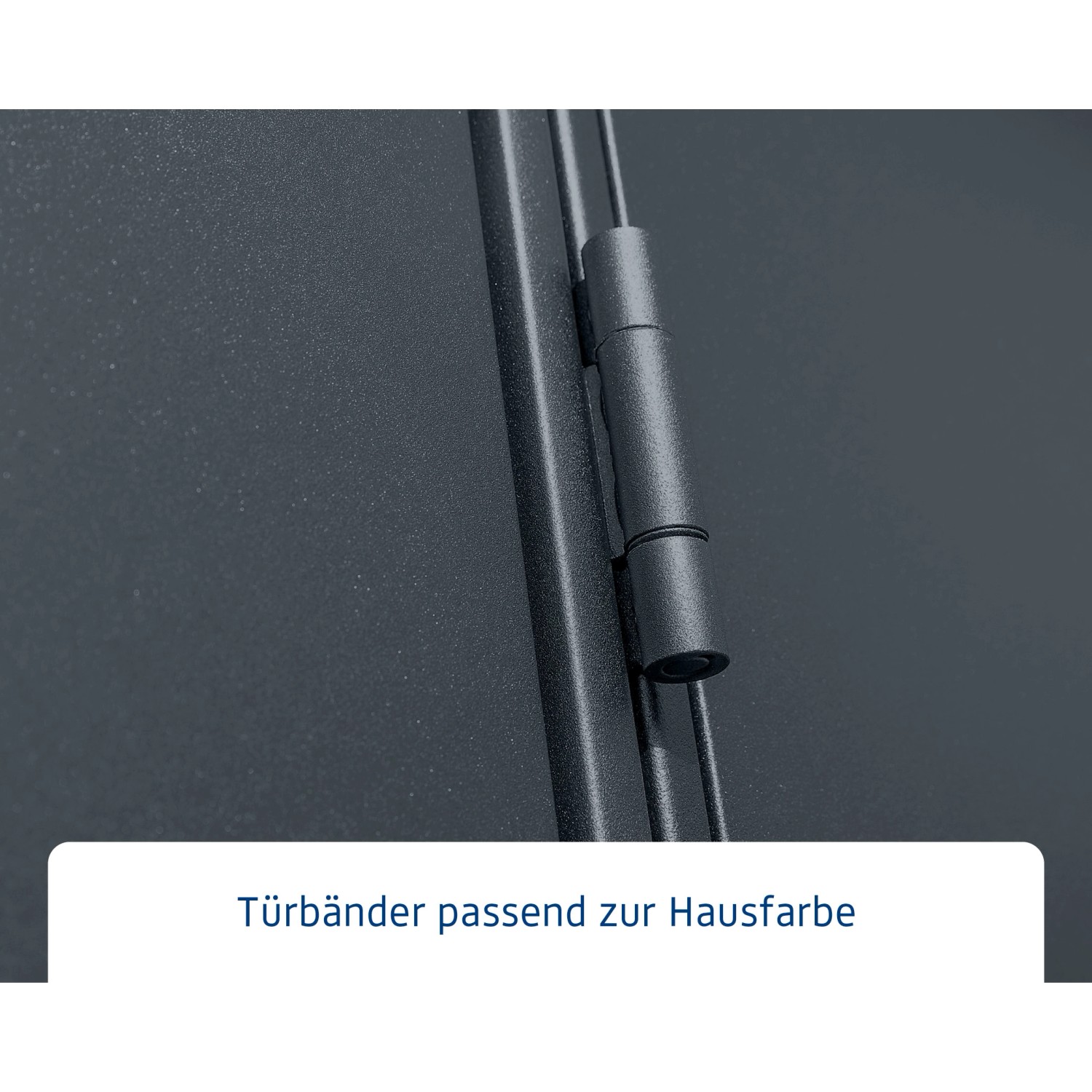 Detailaufnahme: Türband am Ecostar Gerätehaus Elegant, anthrazitgrau.