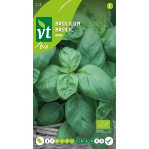 Basilikum 'Aton' Bio Saatgut ca. 0,75 g Intensives Aroma