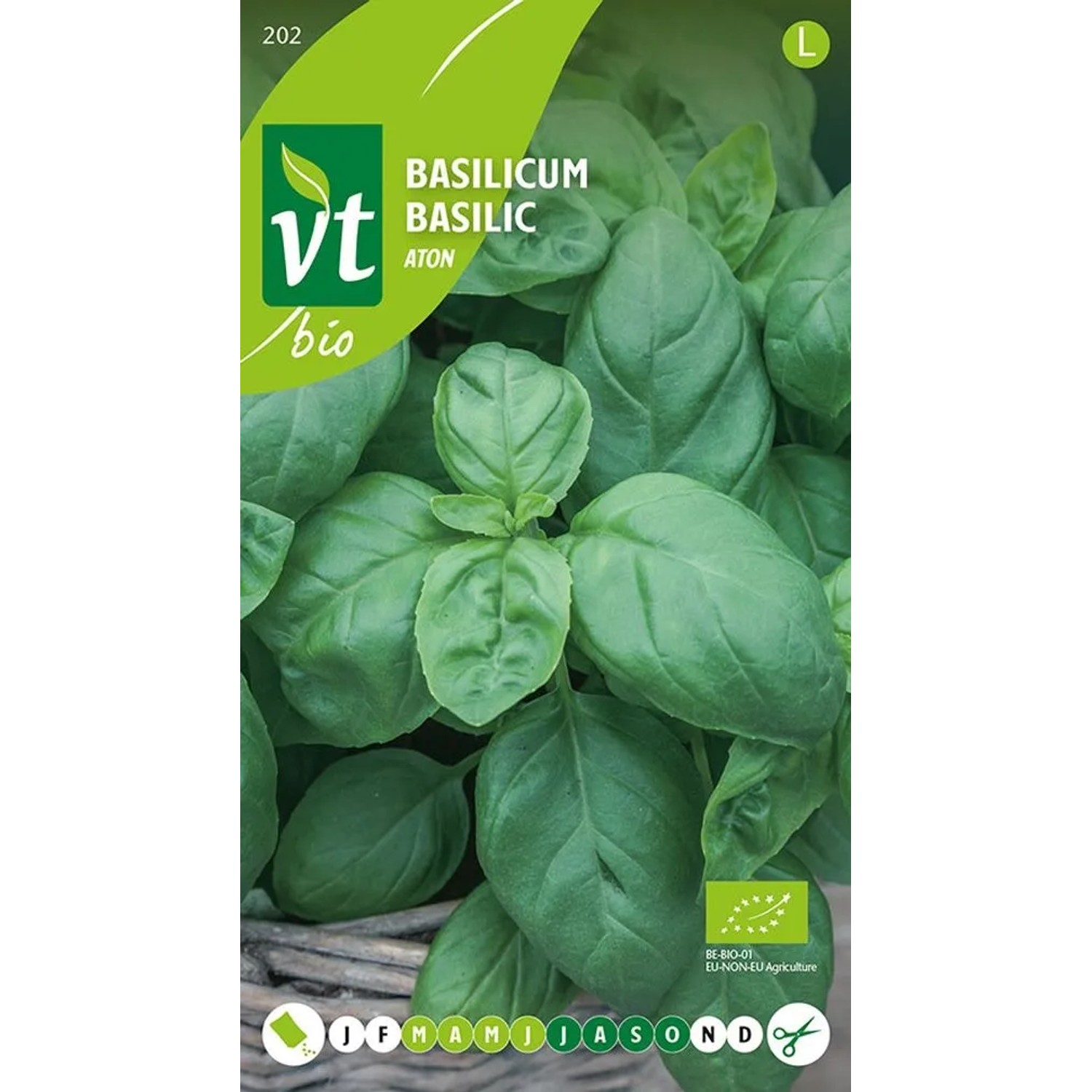 Basilikum 'Aton' Bio Saatgut ca. 0,75 g Intensives Aroma