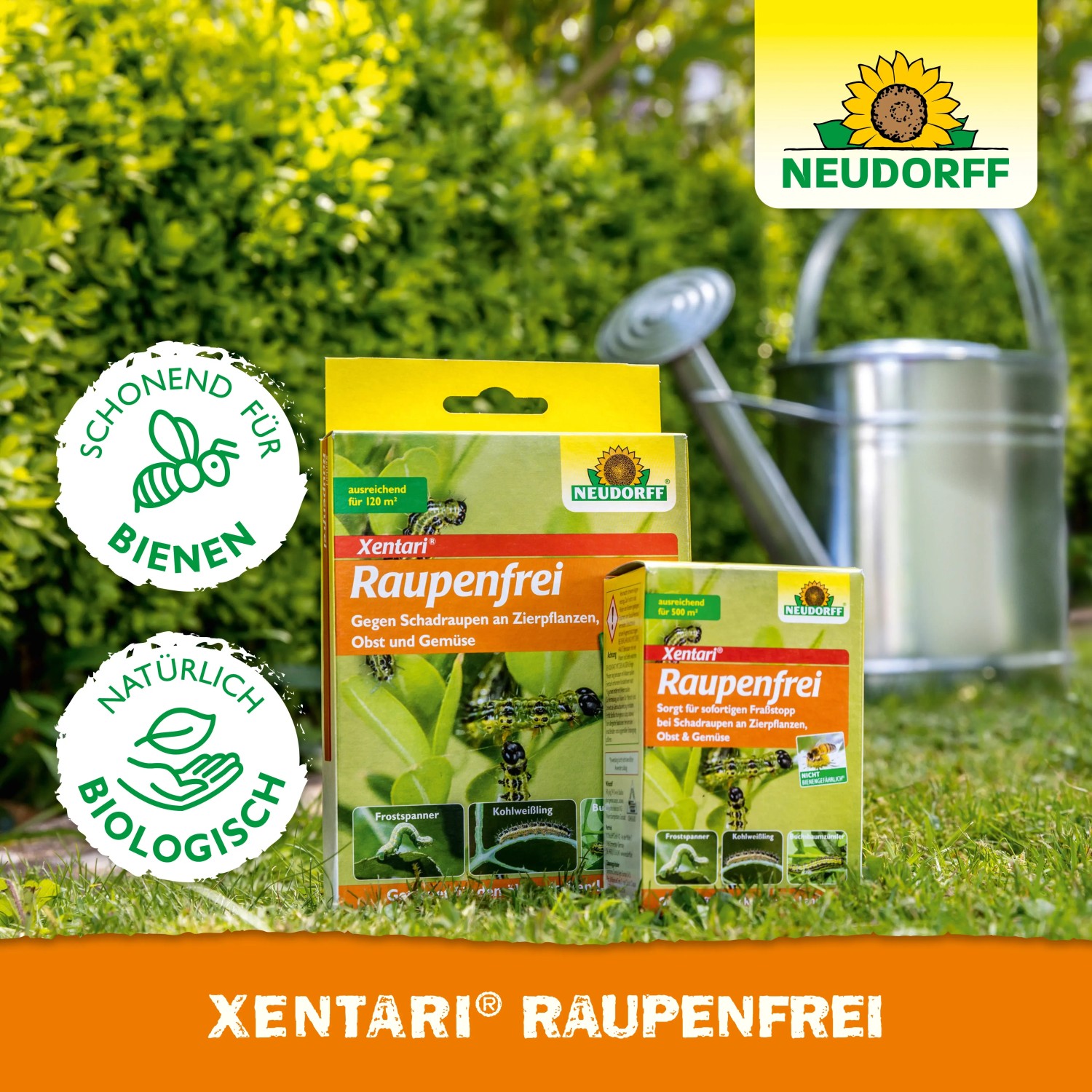 Neudorff Raupenfrei Xentari 25g: Mittel gegen Buchsbaumzünsler und andere Schadraupen im Garten.