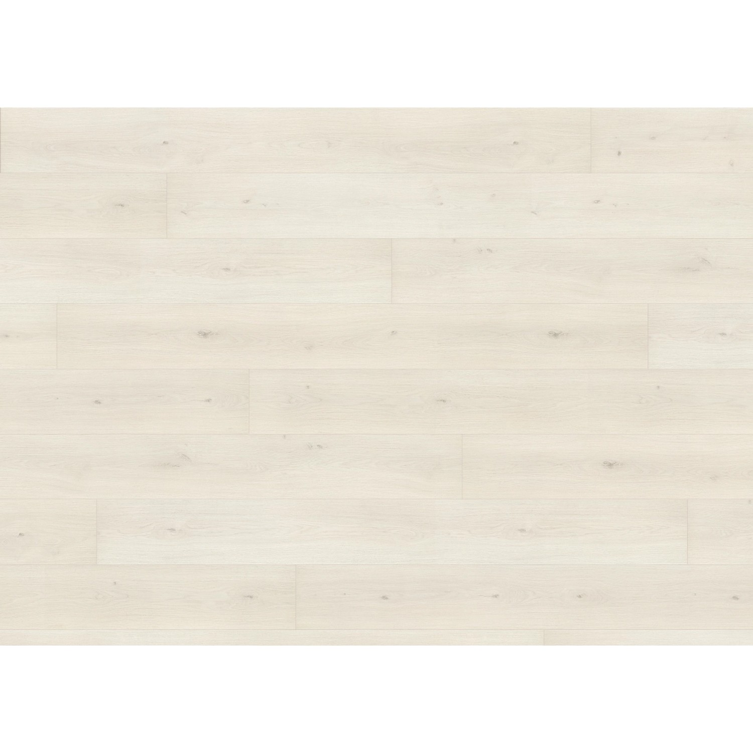 Living by Haro XL Laminat 8 mm Eiche Emilia Weiß