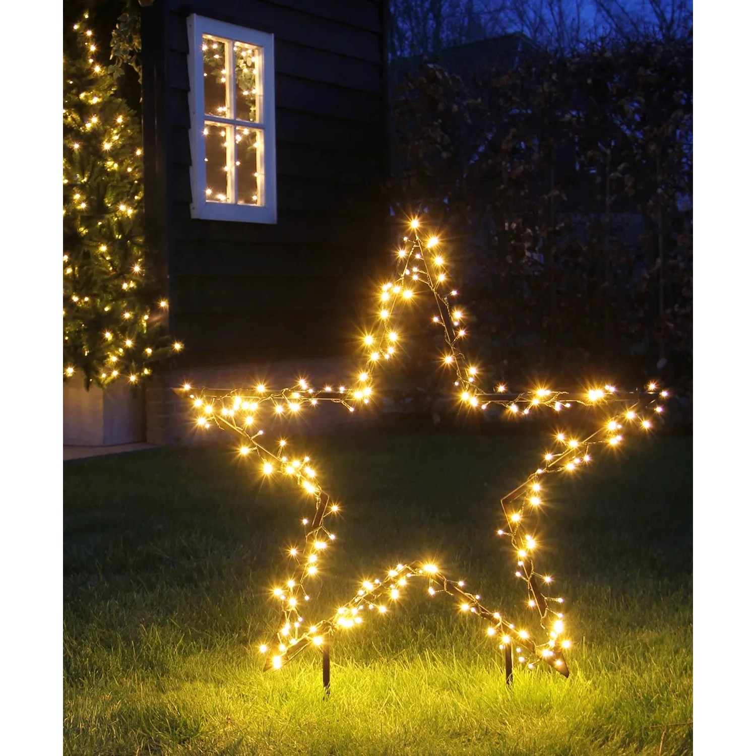 Luca Lighting Weihnachtsbeleuchtung Stern Garden d'Light 150 LED 60 x 73 cm kaufen bei OBI