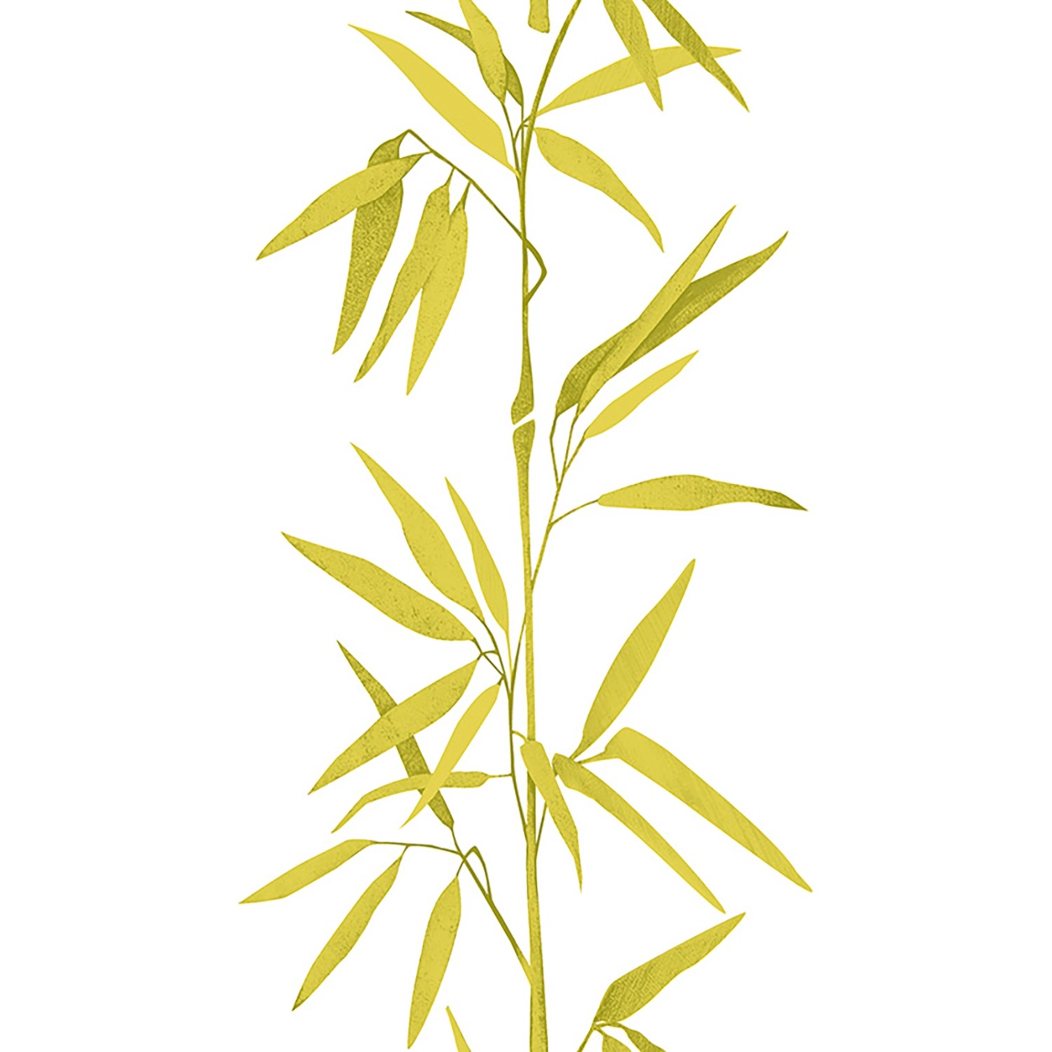 Bricoflor Bambus Tapete Weiß Grün Gold Asiatische Vinyltapete als Tapetenpaneel mit Bambusblättern Moderne Wandtapete Se