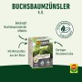 Compo Buchsbaumzünsler K.O., 50 ml Packung zur Bekämpfung von Buchsbaumzünslern.