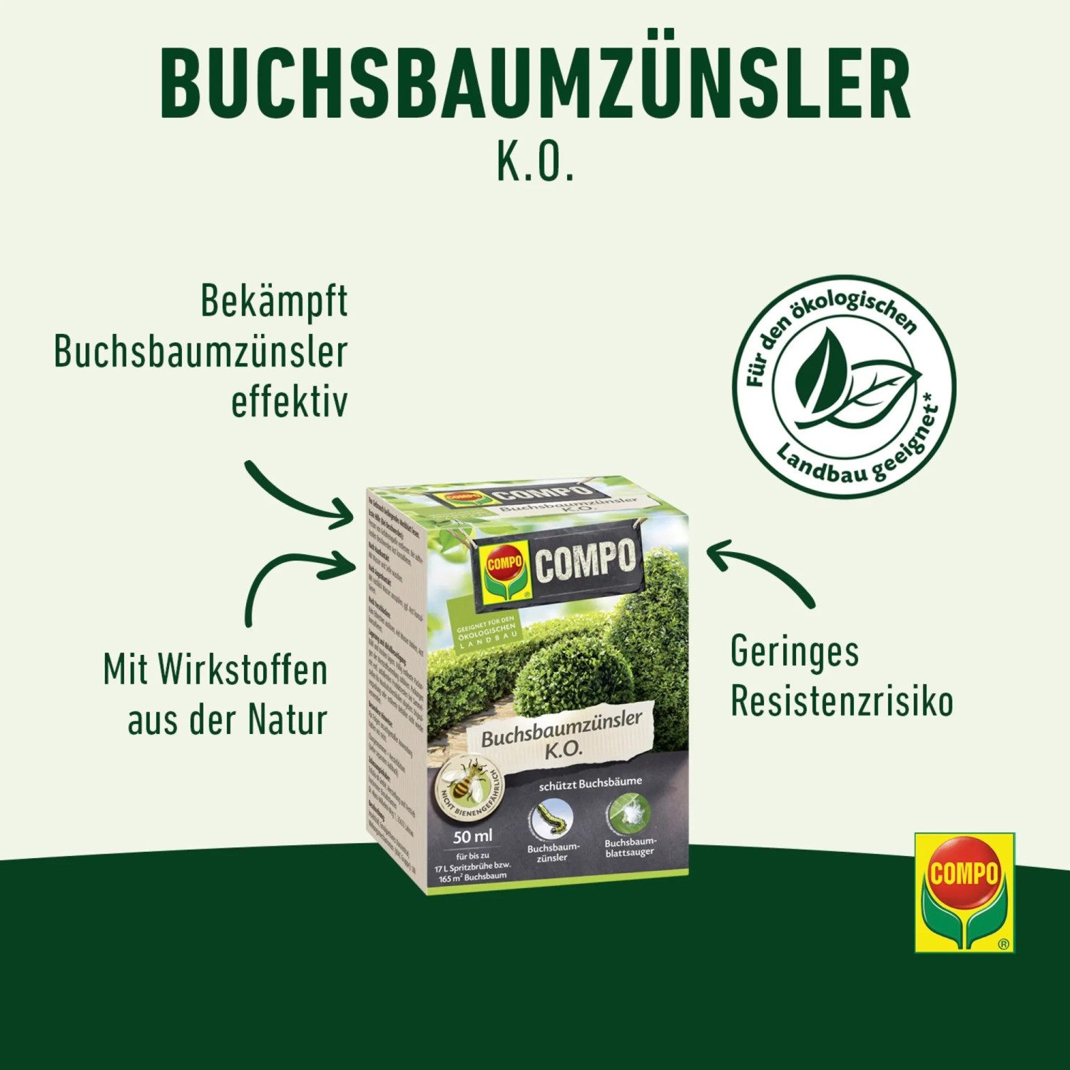 Compo Buchsbaumzünsler K.O., 50 ml Packung zur Bekämpfung von Buchsbaumzünslern.