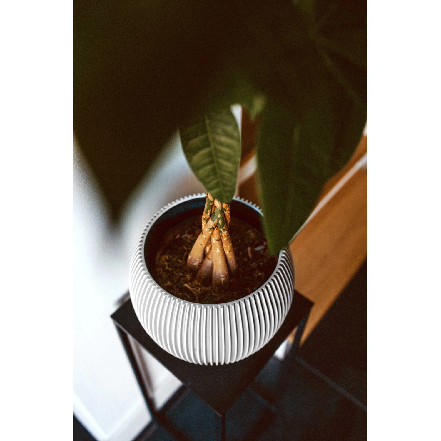 Capi Indoor Blumentopf Groove Kugel 30 cm x 25 cm kaufen bei OBI