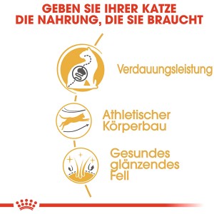 Grafik: Royal Canin Bengal Adult Katzenfutter Vorteile - Verdauung, Körperbau, Fell.