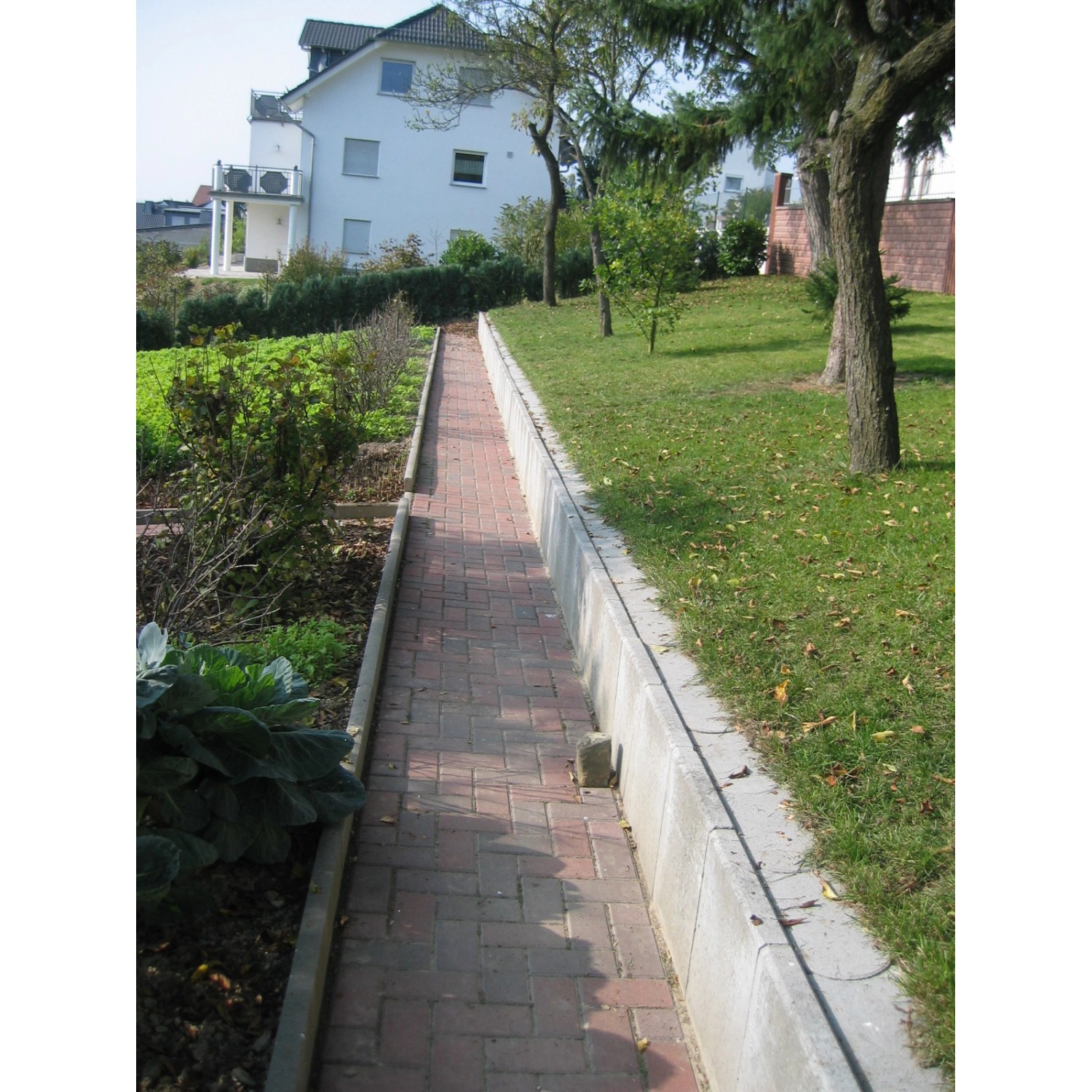 Graue Mähkante aus Beton (24x12x4,5 cm) als Rasenkante in einem Garten.