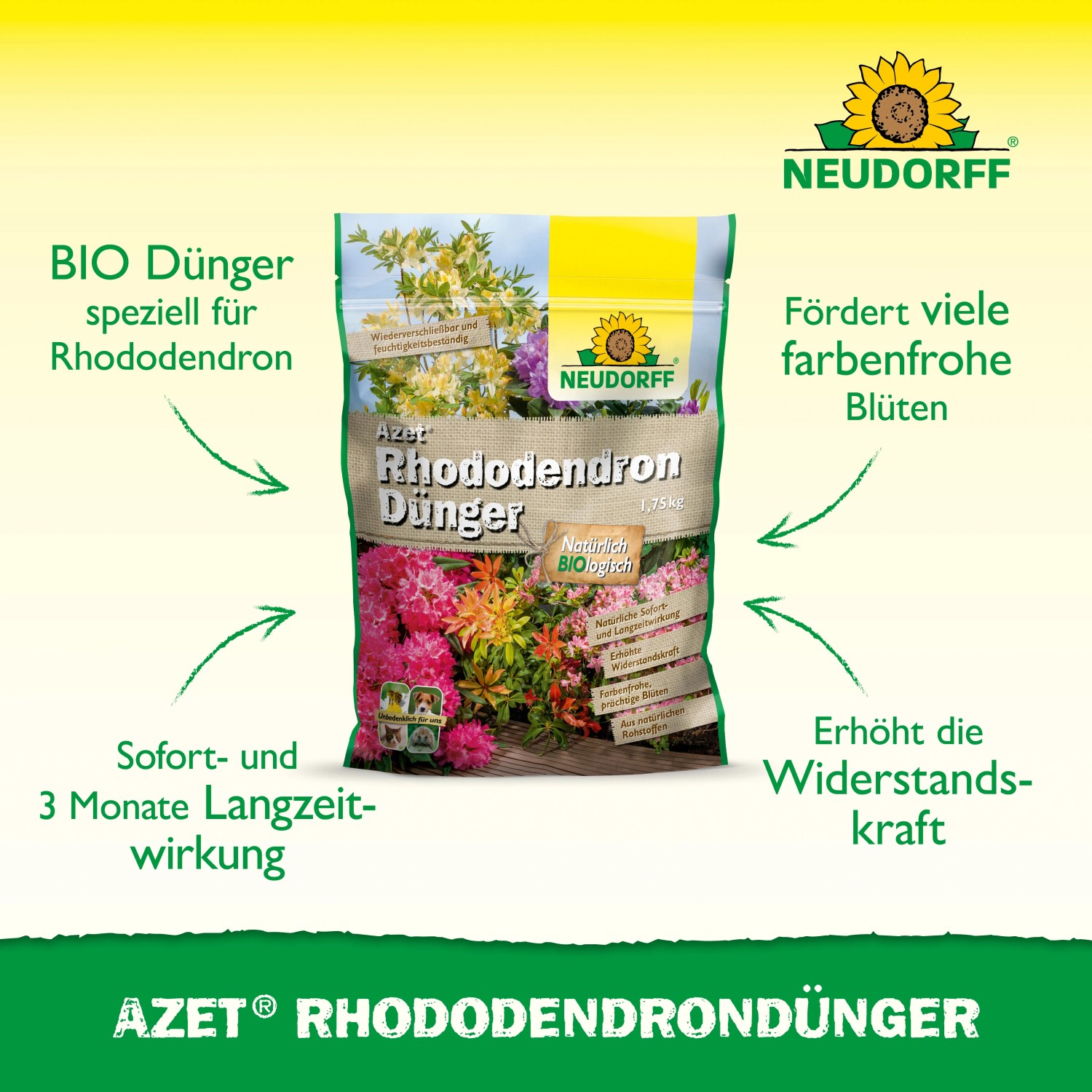 Packung Neudorff Azet Rhododendron-Dünger 1,75 kg für kräftigen Wuchs und prächtige Blüten.