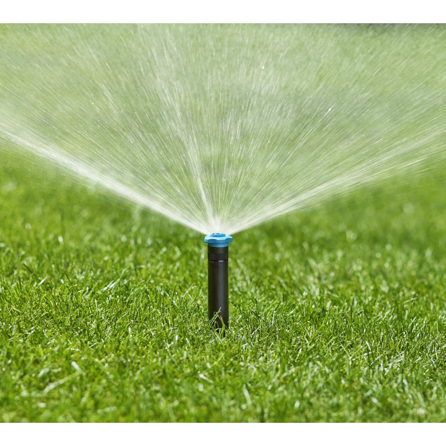 Gardena Versenkregner SD30 bewässert Rasenfläche. Sprinkler-System im Einsatz.