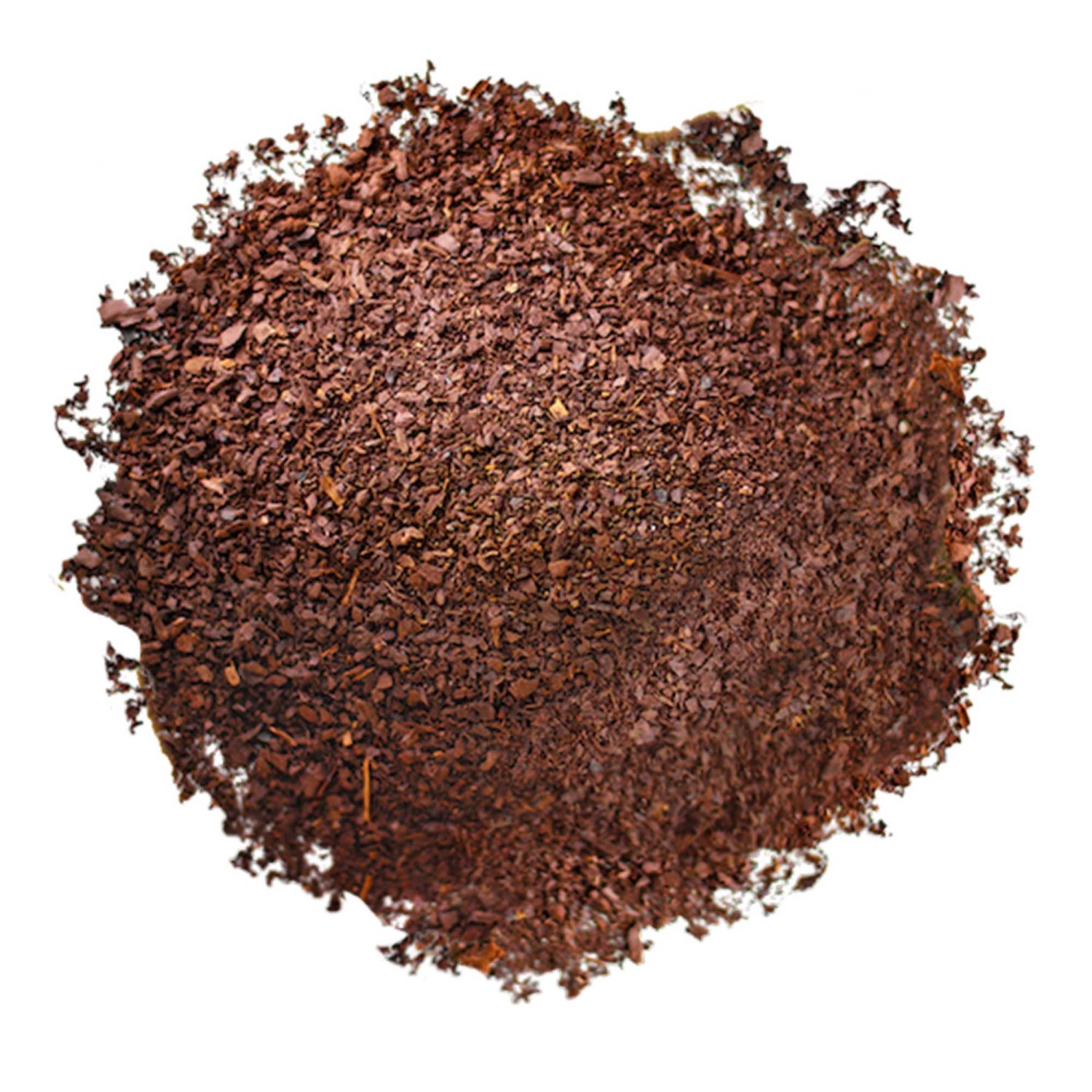 Dr.Soil Pinienrinden Humus 1L Beutel kaufen bei OBI