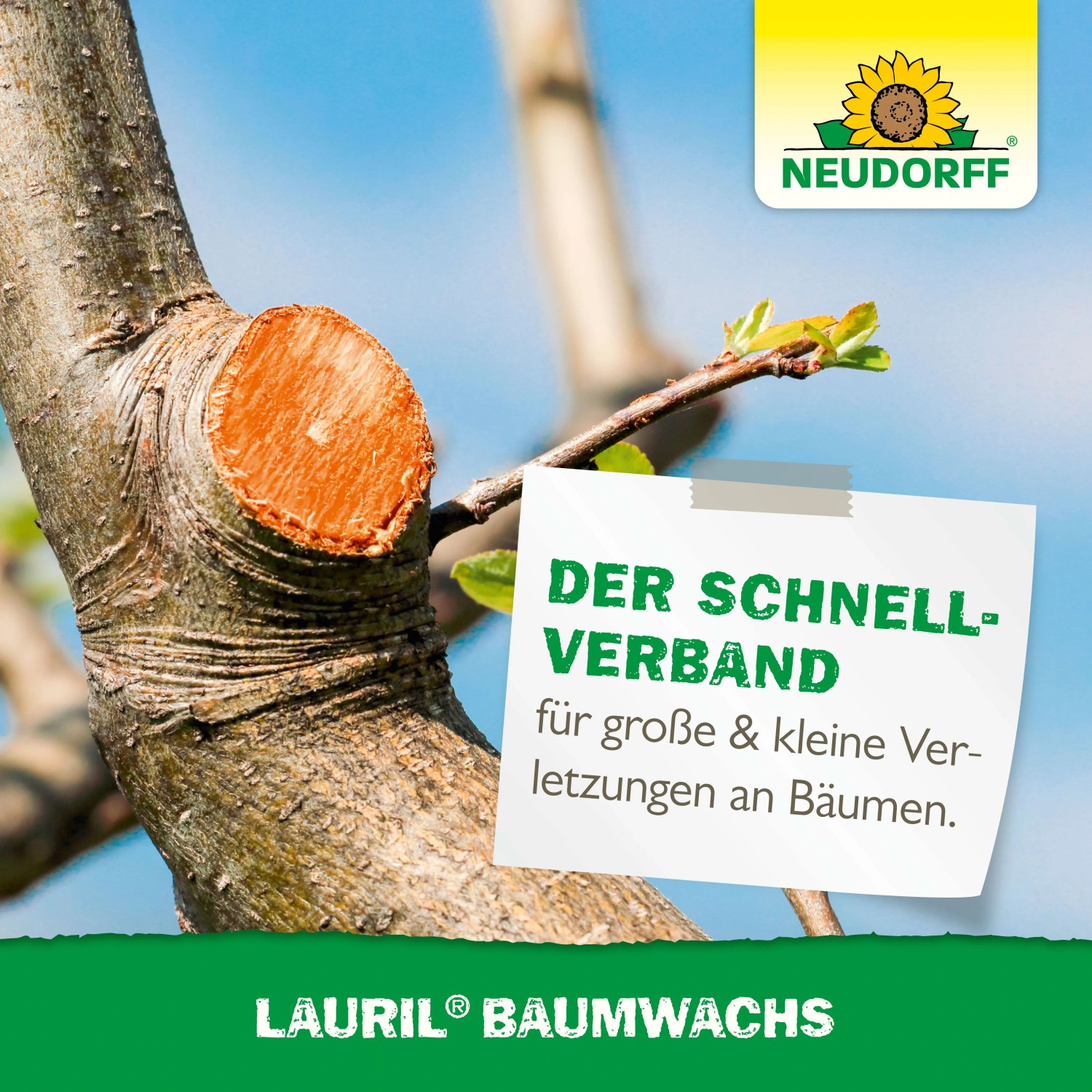 Neudorff Lauril Baumwachs 125 g_5