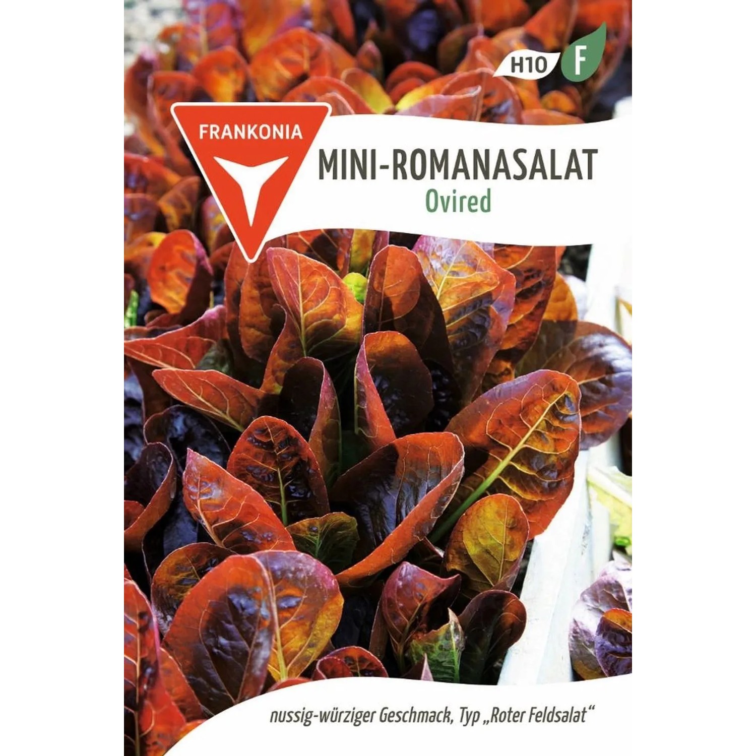 FRANKONIA Mini-Romanasalat Ovired