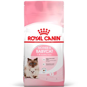 Royal Canin Mother and Babycat Katzenfutter 2kg für Mutterkatzen und Kitten.