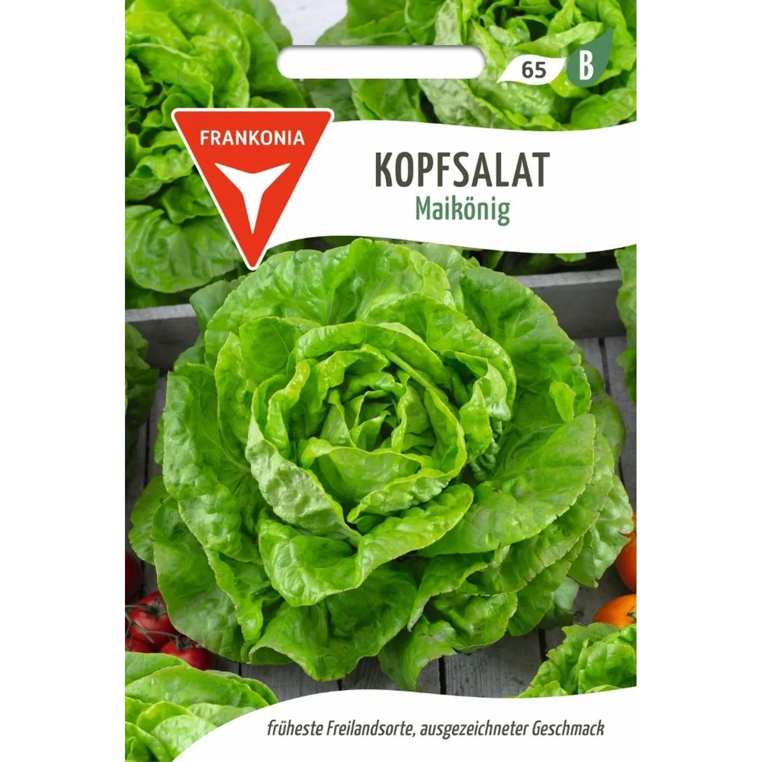 Thumbnail - FRANKONIA Kopfsalat Maikönig