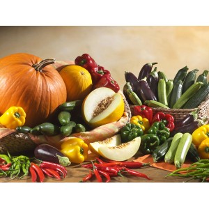 Südgemüse Sorten: Kürbis, Melone, Zucchini, Paprika und Chili in Körben.