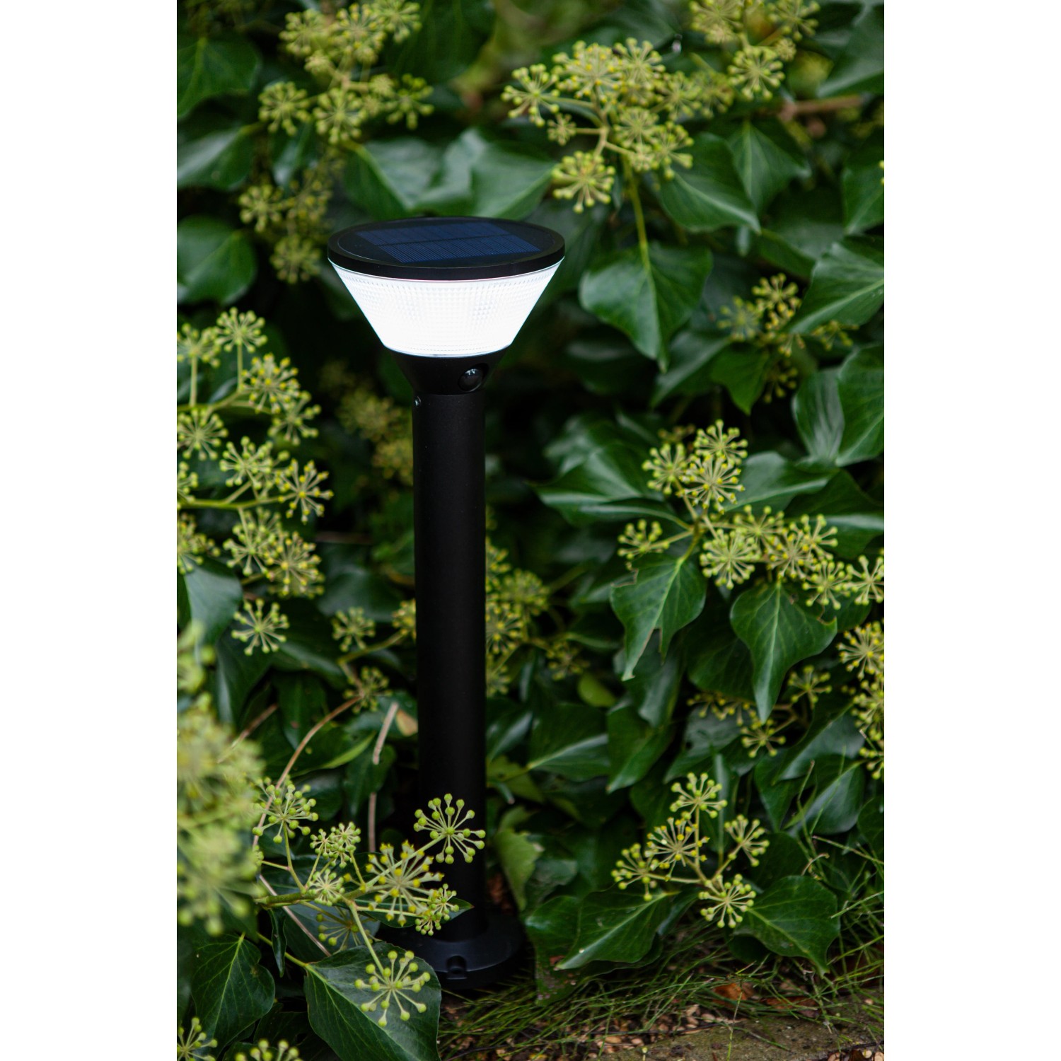 Schwarze Lutec Solar-Wegeleuchte Karlo, 45 cm hoch, mit LED und Solarpanel vor grünem Hintergrund.