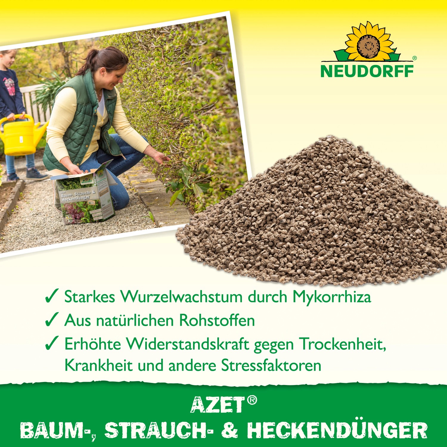 Neudorff Azet Baum-, Strauch- und Heckendünger: Anwenderin düngt Hecke, Düngerhaufen im Vordergrund.