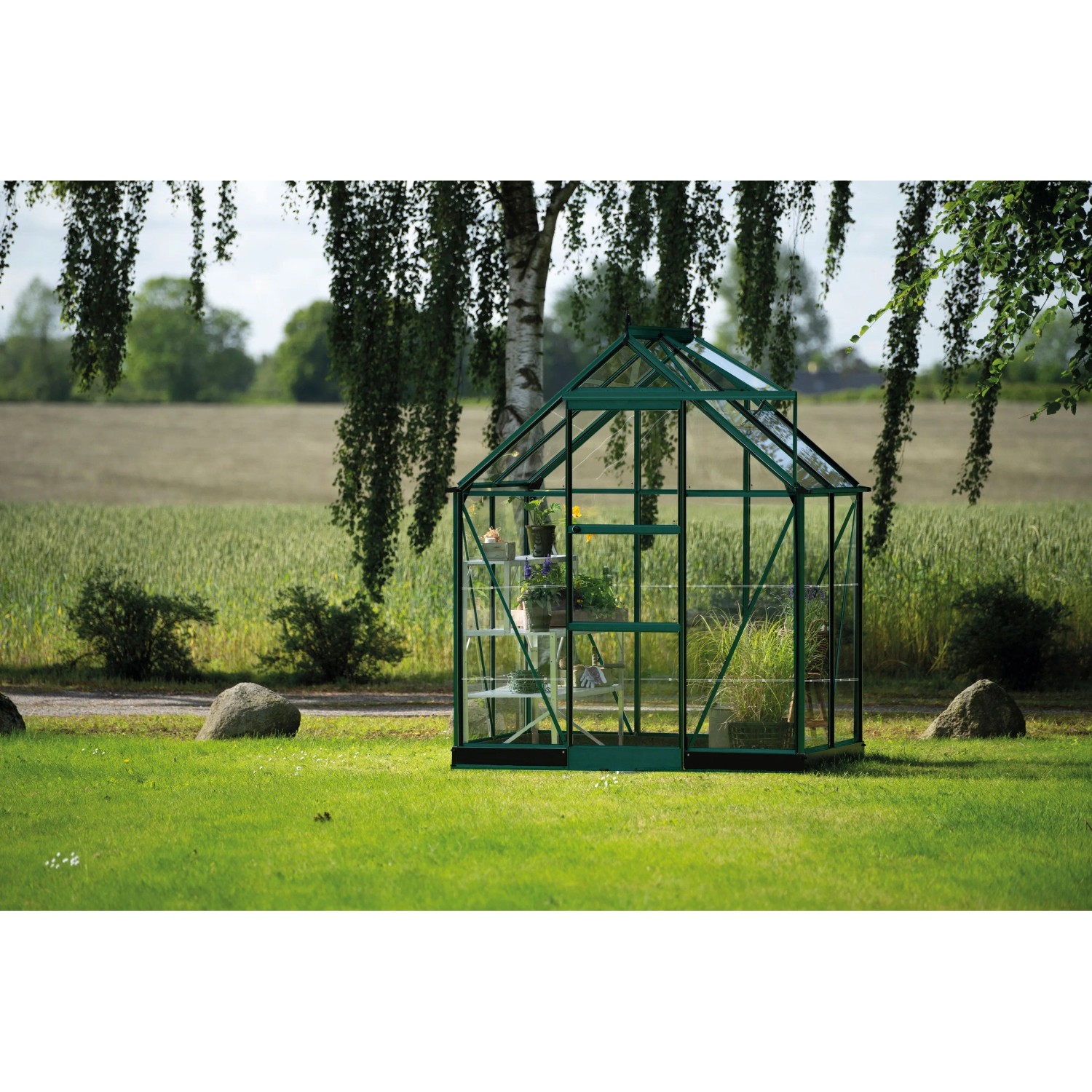 Halls Gewächshaus Icon 6 Grün 2,5 m² günstig online kaufen