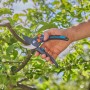 Gardena Gartenschere PremiumCut Pro Flex beim Schneiden eines Astes im Garten.