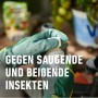 Compo Bio Insektenfrei Neem, 75ml Flasche in der Hand mit Gartenhandschuh. Mittel gegen saugende und beißende Insekten.