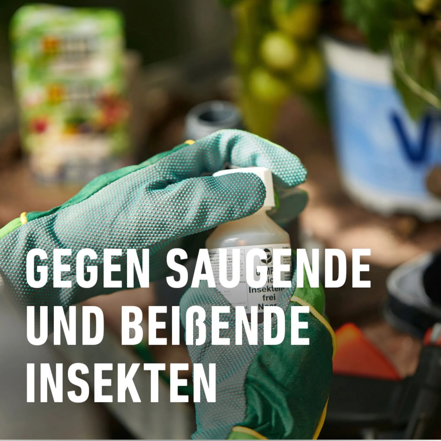 Compo Bio Insektenfrei Neem, 75ml Flasche in der Hand mit Gartenhandschuh. Mittel gegen saugende und beißende Insekten.