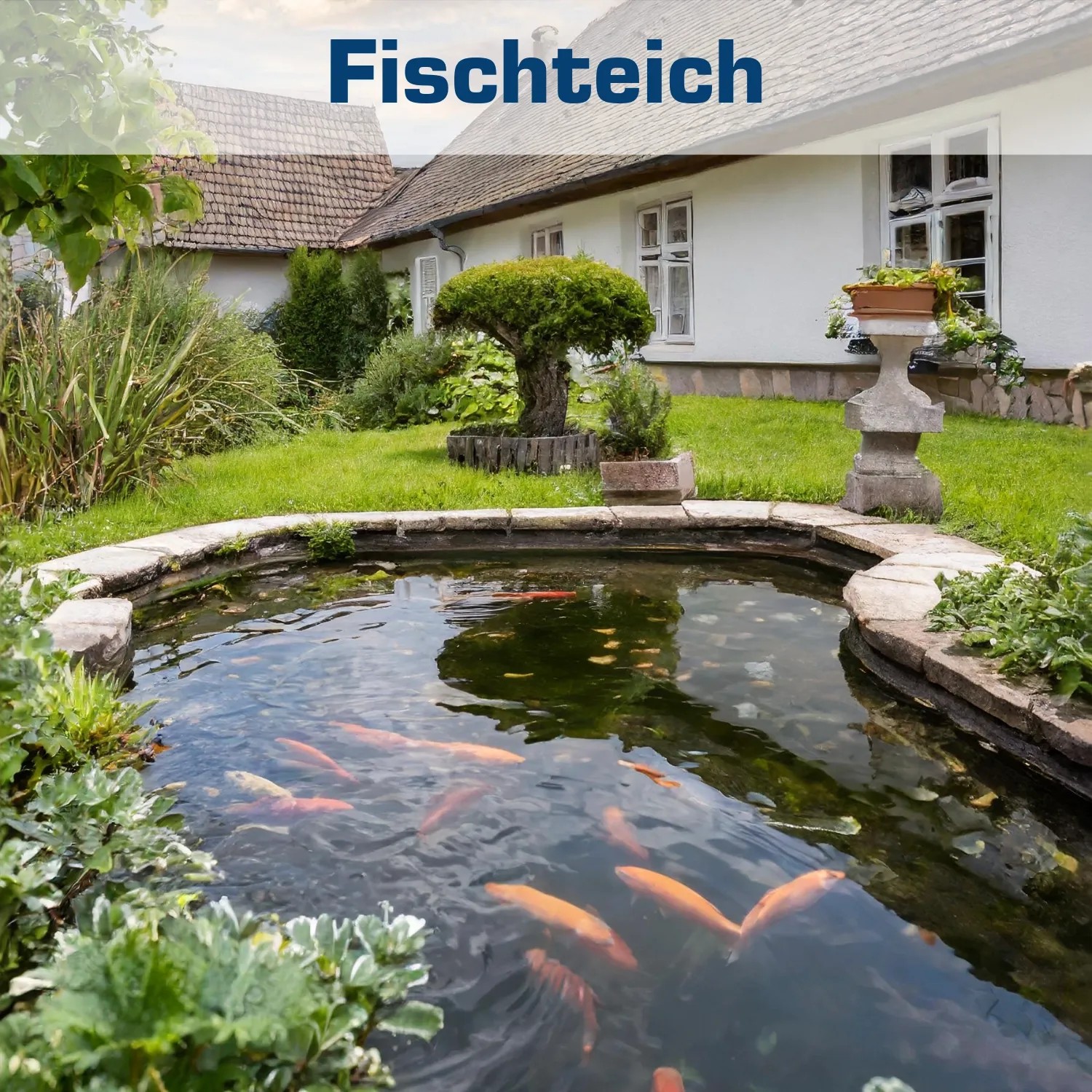 Teich mit Goldfischen im Garten, betrieben mit Kerry Electronics Teichpumpe.