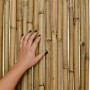 Hand berührt vertikale Bambusrohre des Sol Royal SolVision B38 Sichtschutzes. Natürliches Material für Garten & Balkon.