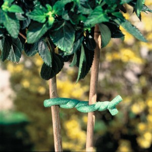 Windhager Baumanbinder, geschäumt, 8 mm x 10 m, grün, zur Fixierung von Pflanzen an Stäben.