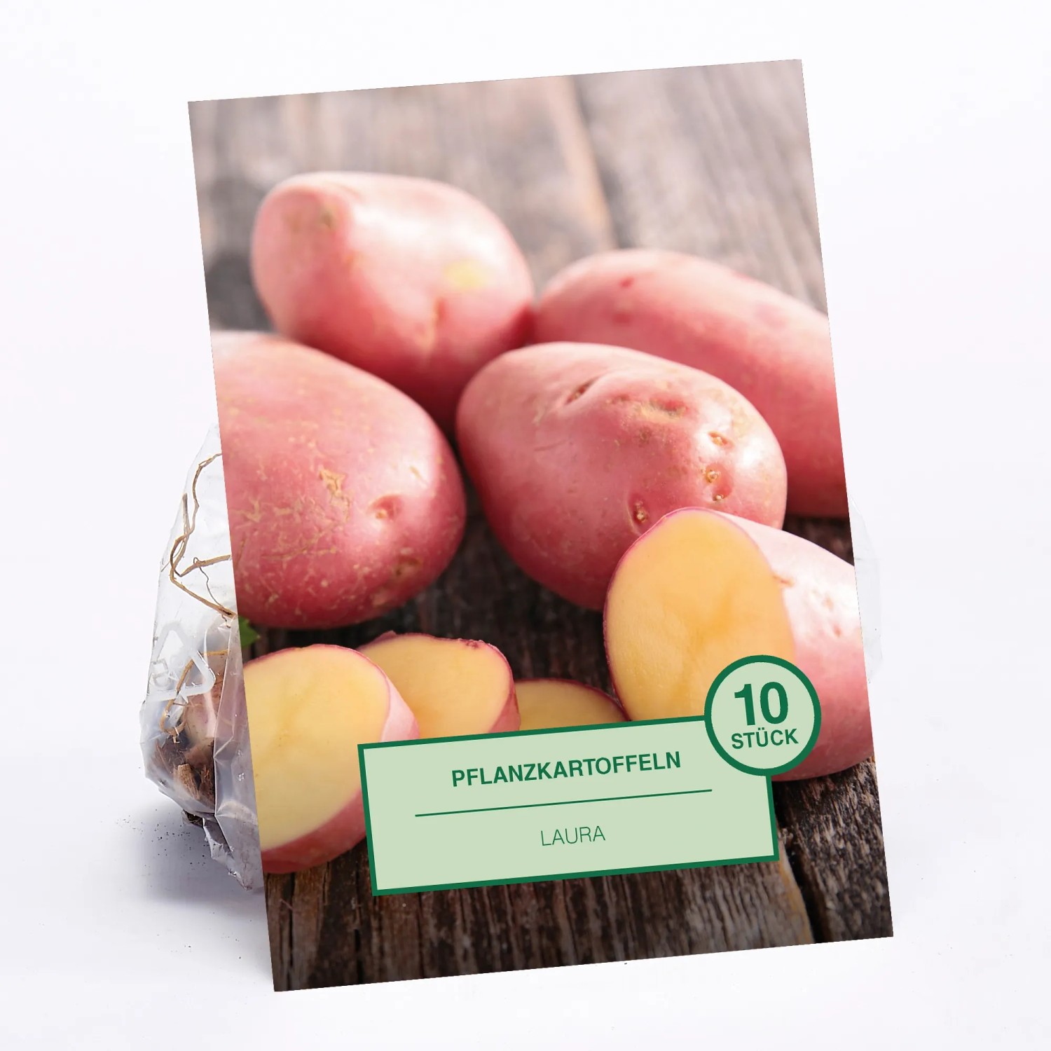 Laura Kartoffel 10 Stck Solanum tuberosum kaufen bei OBI