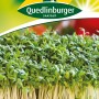 Samenpackung Quedlinburger Gartenkresse 'krause' mit frischer, grüner Kresse.