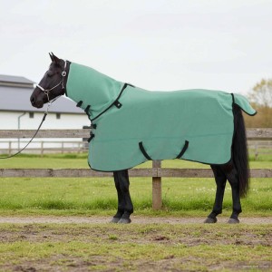 Pferd mit grüner vidaXL Pferdedecke aus Polyester für den Außenbereich.