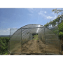 Garten Dream Gewächshauser Palace 4x6m mit 6mm Polycarbonat_4