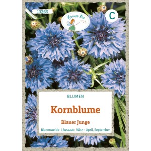 Saatgutpackung Grüne Fee Kornblume Blauer Junge mit blauen Blüten.