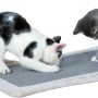 Trixie Kratzmatte mit Plüschrand, 55x35 cm, grau/hellgrau. Zwei Katzen spielen auf der Kratzmatte.